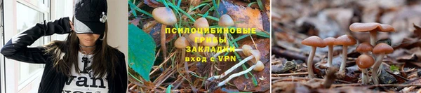 скорость mdpv Покров