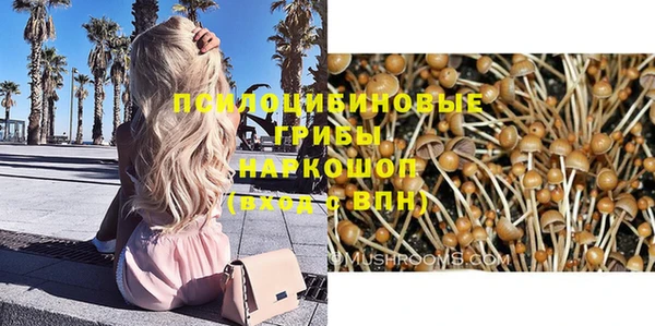 первитин Покачи