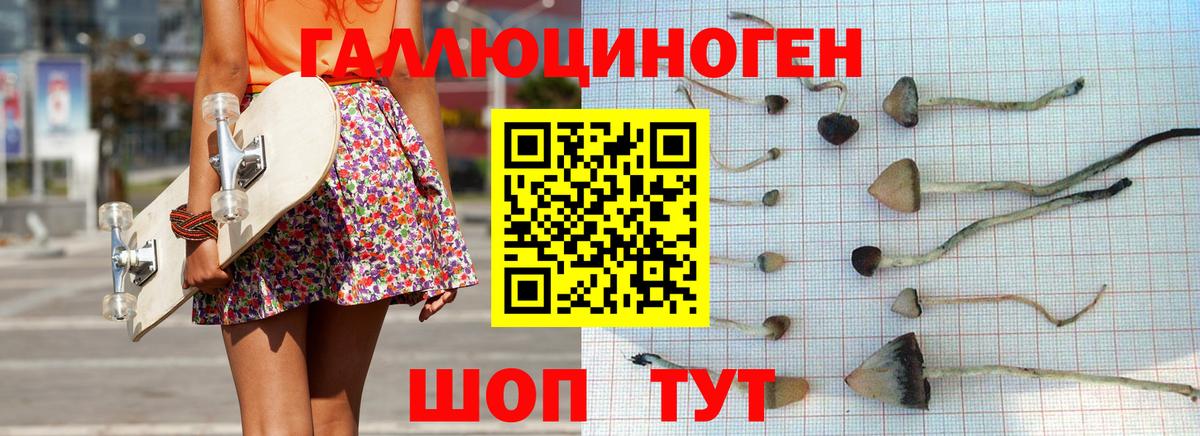 Галлюциногенные грибы Psilocybe  Псилоцибиновые грибы Psilocybe  Белореченск 