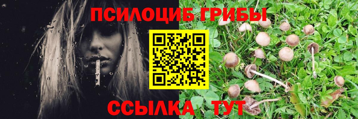 Псилоцибиновые грибы прущие грибы  Вход с VPN  Белореченск 